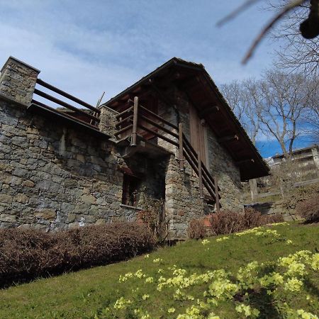 La Mura' - Il Vostro Posto Nel Gran Paradiso Ronco Canavese Luaran gambar