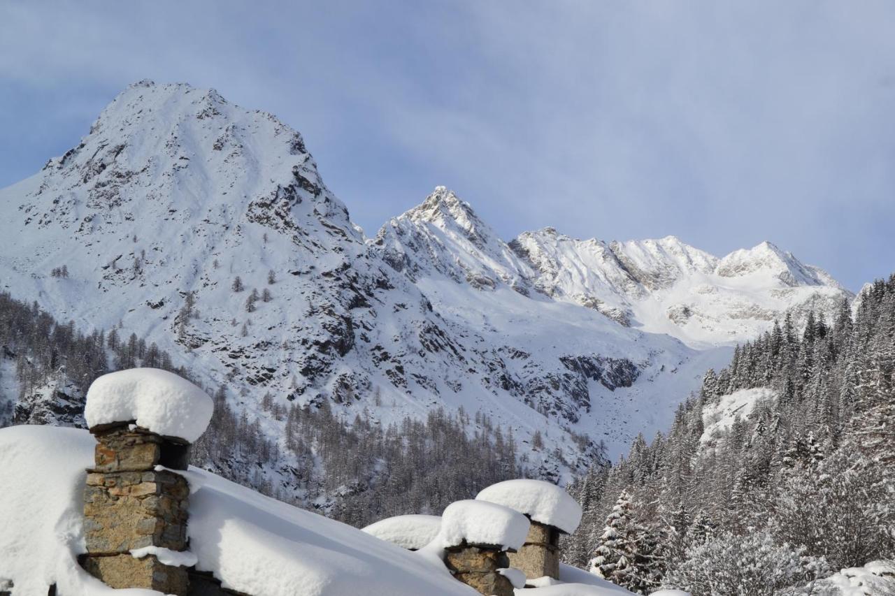 La Mura' - Il Vostro Posto Nel Gran Paradiso Ronco Canavese Luaran gambar