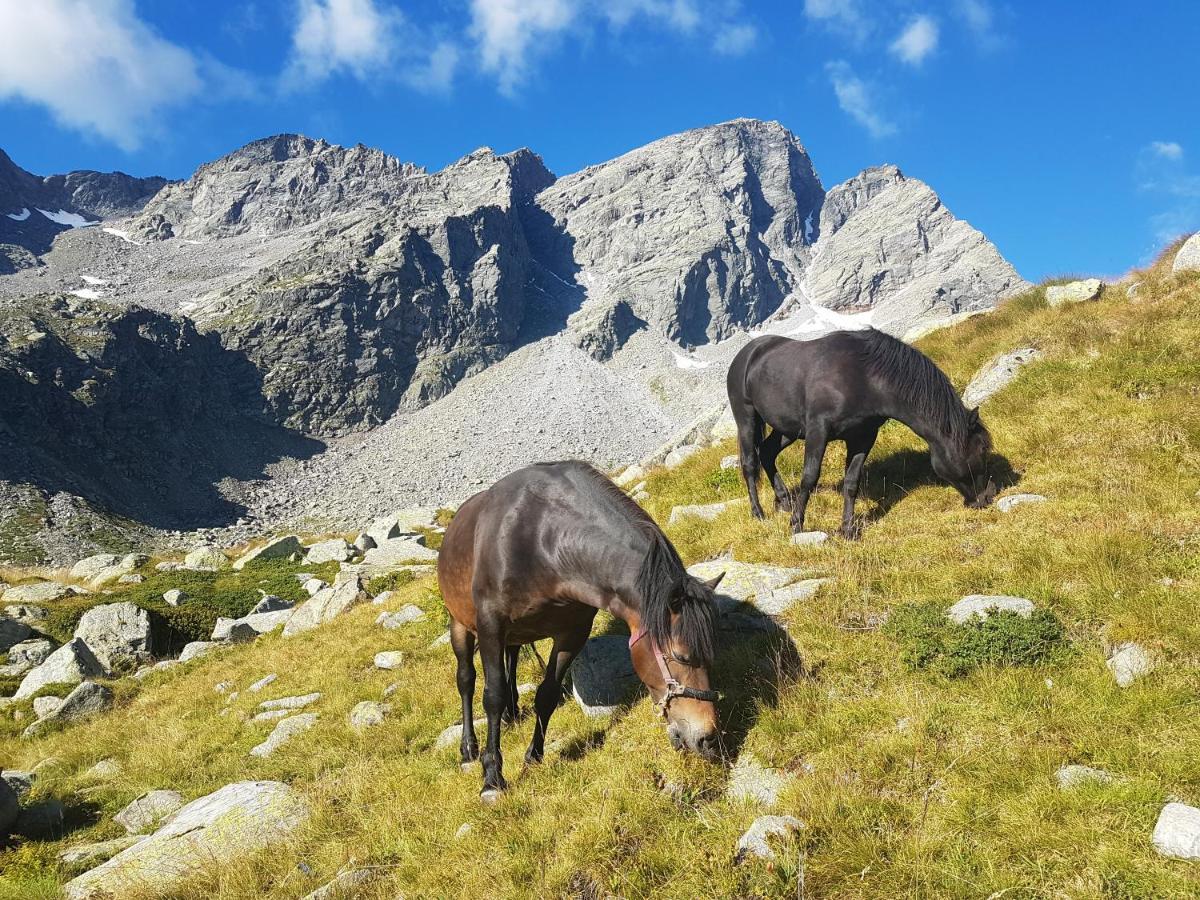La Mura' - Il Vostro Posto Nel Gran Paradiso Ronco Canavese Luaran gambar