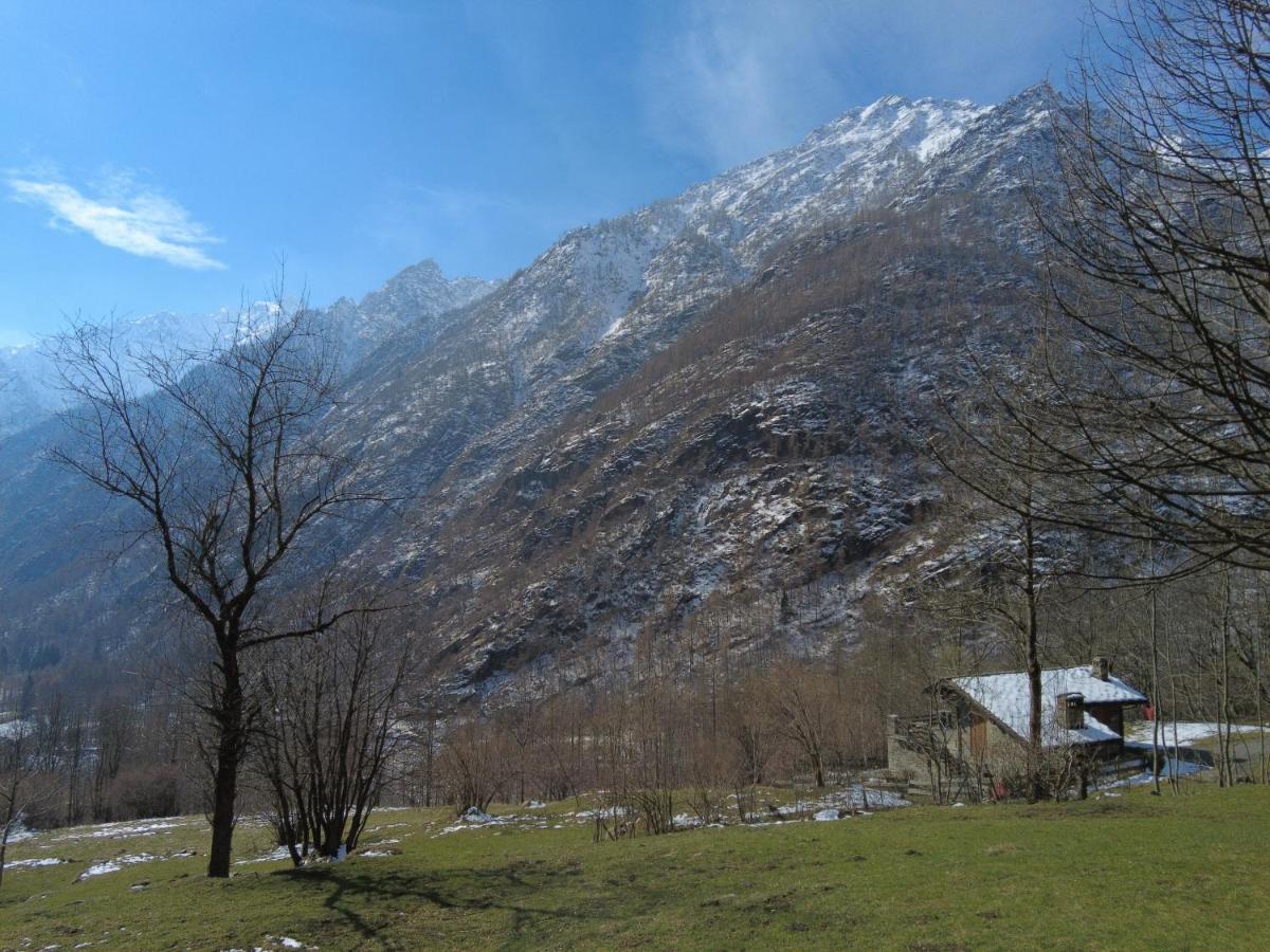 La Mura' - Il Vostro Posto Nel Gran Paradiso Ronco Canavese Luaran gambar