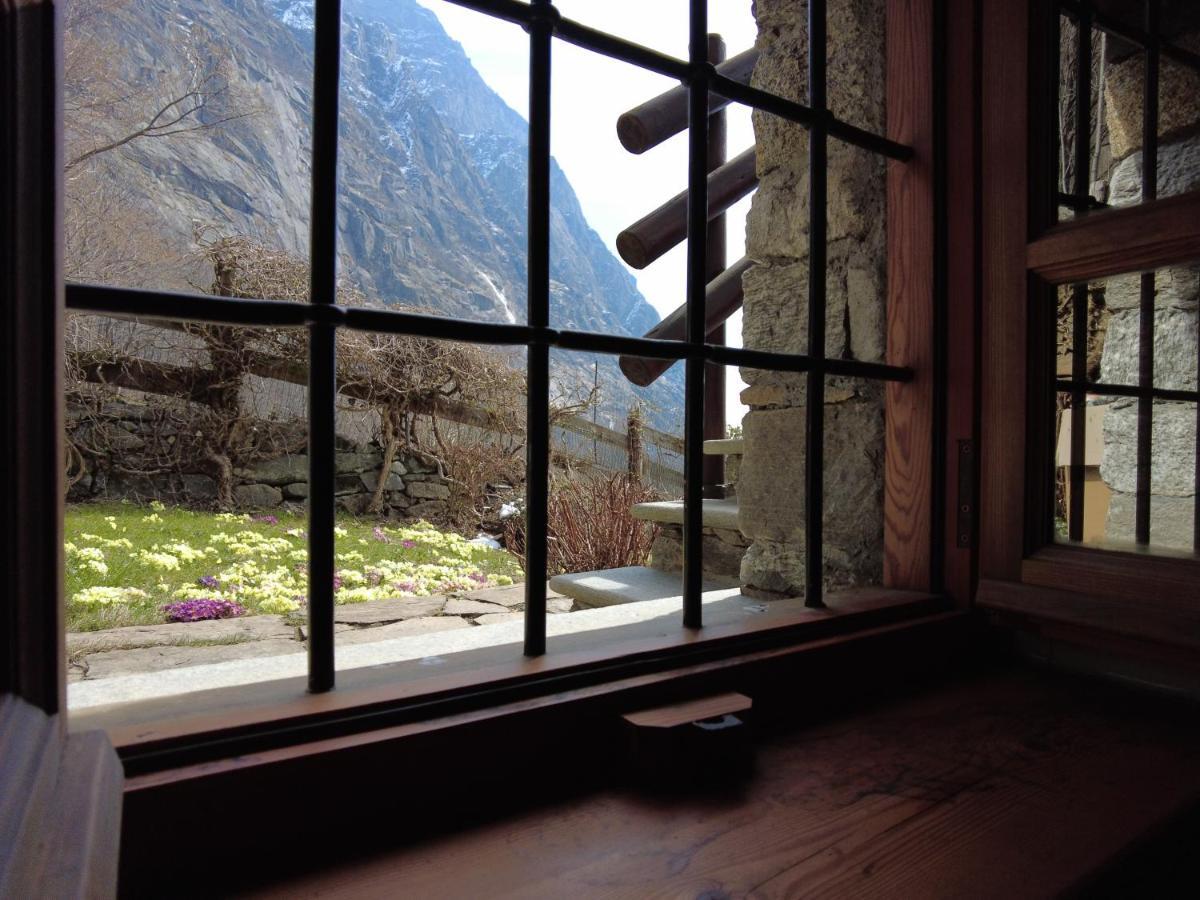 La Mura' - Il Vostro Posto Nel Gran Paradiso Ronco Canavese Luaran gambar