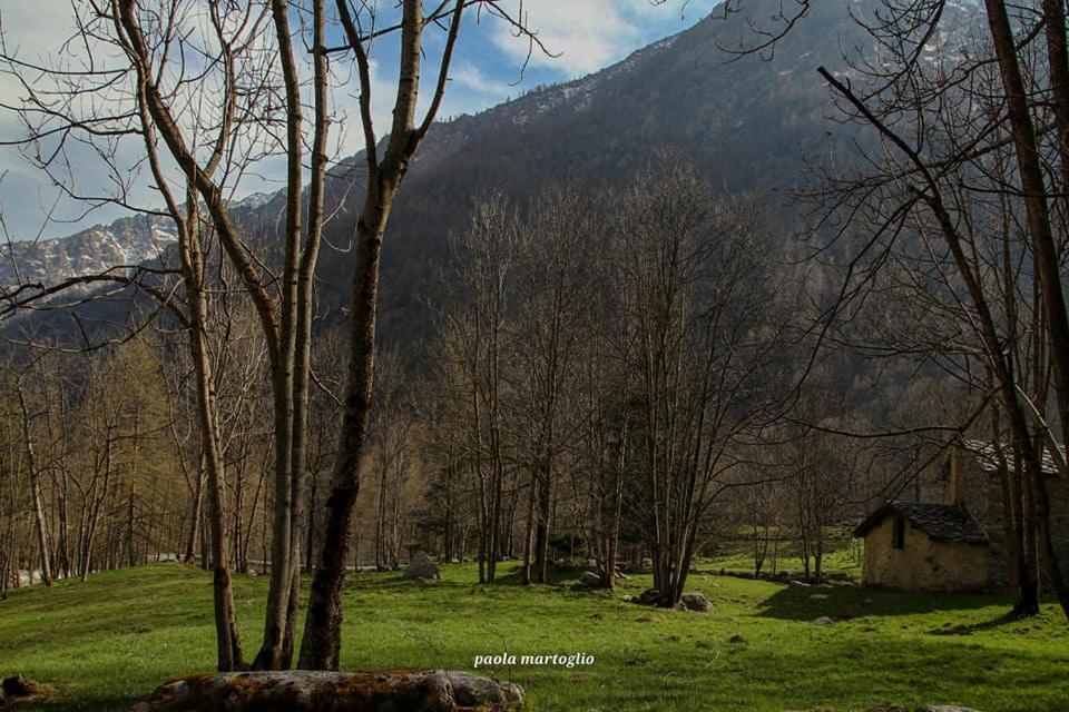 La Mura' - Il Vostro Posto Nel Gran Paradiso Ronco Canavese Luaran gambar