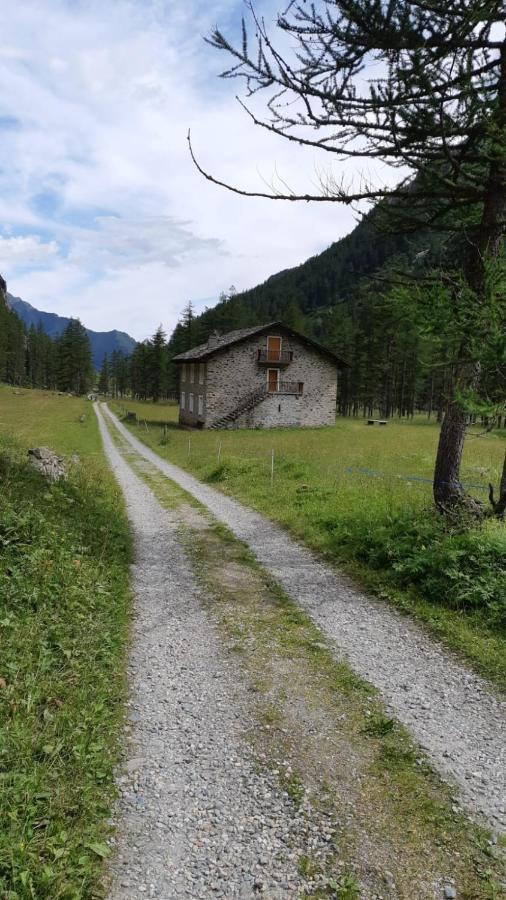 La Mura' - Il Vostro Posto Nel Gran Paradiso Ronco Canavese Luaran gambar